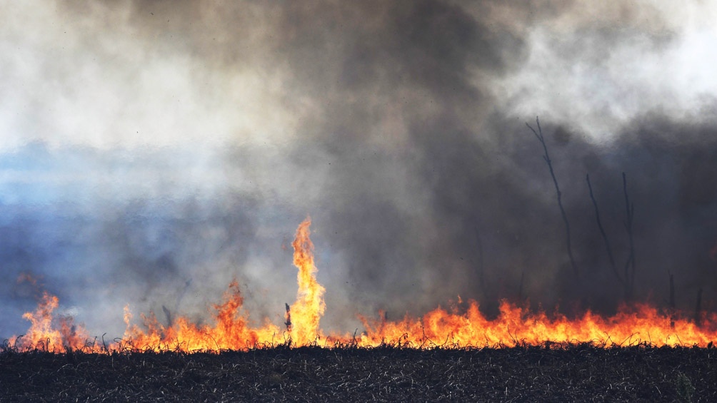 Tras el temporal de lluvias, el fuego retoma su avance sobre las islas entrerrianas