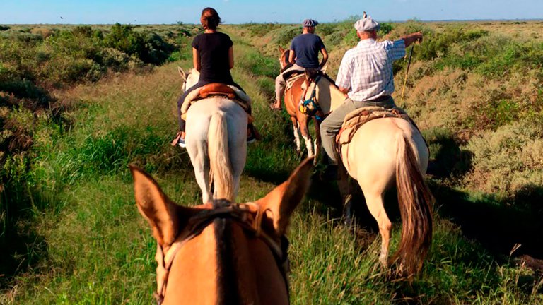 Anunciaron la creación de un nuevo parque nacional en Córdoba