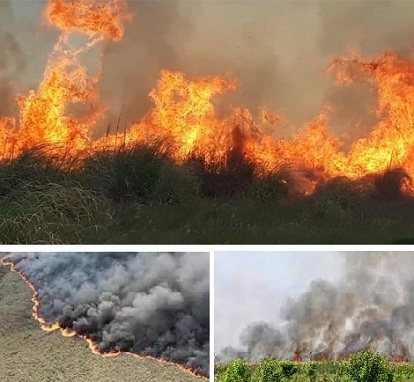 Buenos Aires y cinco provincias más registran incendios forestales activos