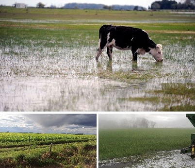 Llegaron las lluvias a la región pampeana y los productores celebran que se frena el deterioro de los cultivos