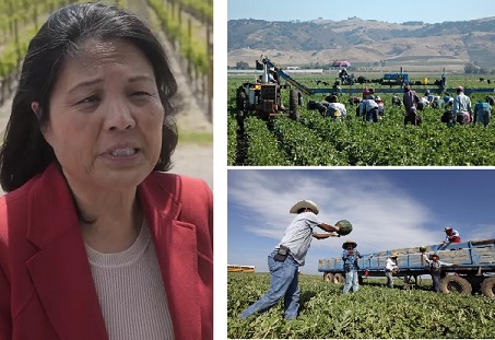 EEUU: Nueva norma dará a trabajadores agrícolas temporales más protecciones contra abusos laborales