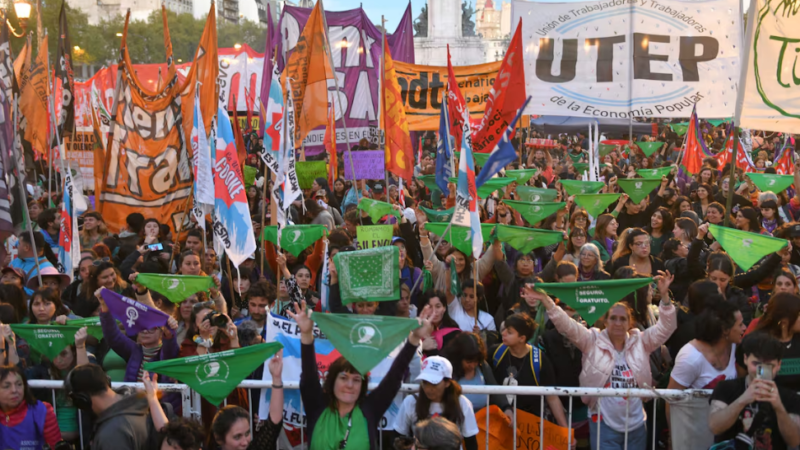 Marcha feminista a Casa Rosada en el Día Mundial contra la Violencia de Género: Rechazo a las políticas de Milei