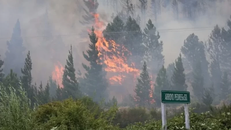 Sigue el incendio forestal en Epuyén y ya se quemaron más de 3 mil hectáreas