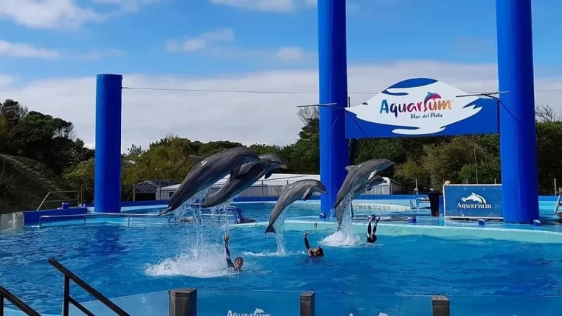 Cierra Aquarium Mar del Plata