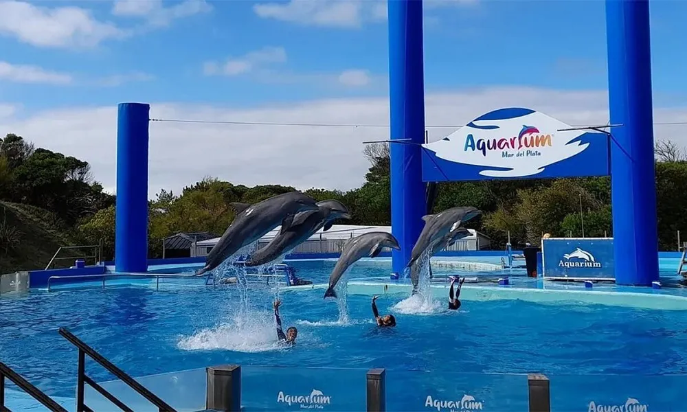 Cierra Aquarium Mar del Plata