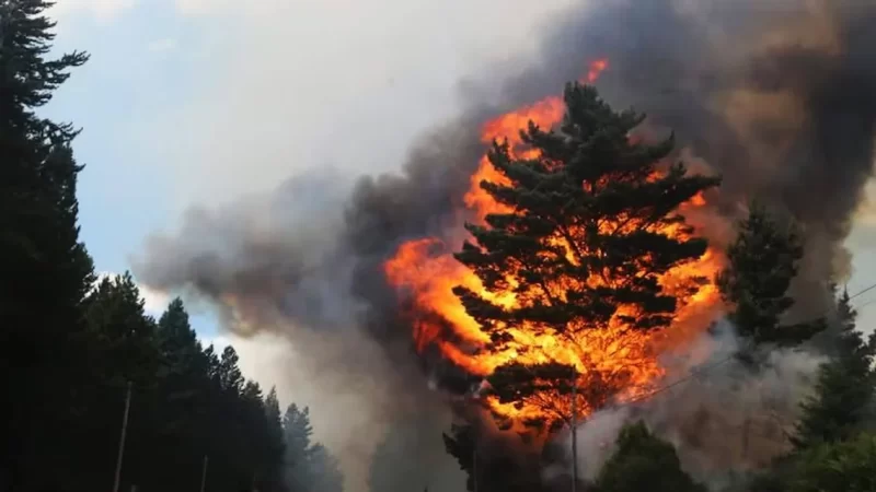 Confirmaron que los incendios en Epuyén y El Bolsón fueron intencionales