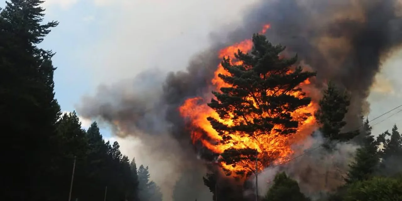 Confirmaron que los incendios en Epuyén y El Bolsón fueron intencionales