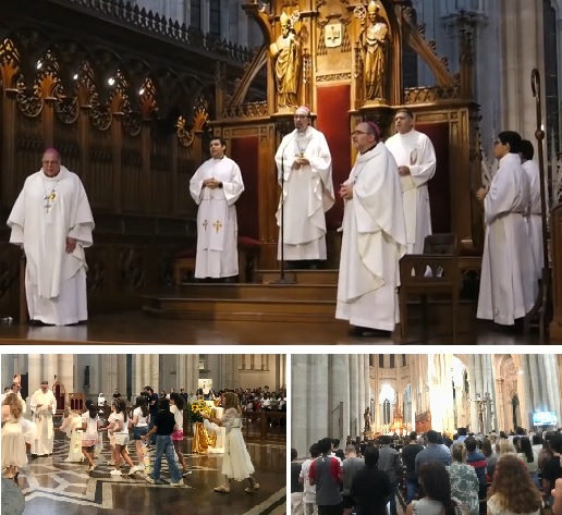 «Pensar en Sor Ludovica es pensar un camino de santidad», expresó Monseñor Carrara en misa que también se pidió por la salud de Francisco