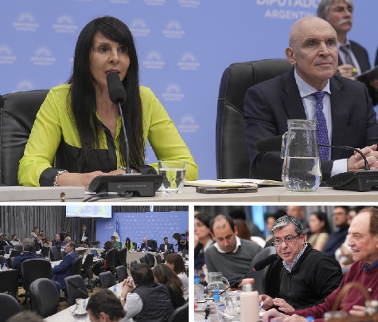 Avanzan los proyectos de Ley sobre «hidrógeno verde y energías renovables» en la Cámara de Diputados de la Nación