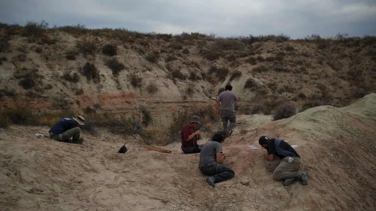 Tras la expedición en el fondo del mar, el CONICET buscará dinosaurios «en vivo» en la Patagonia