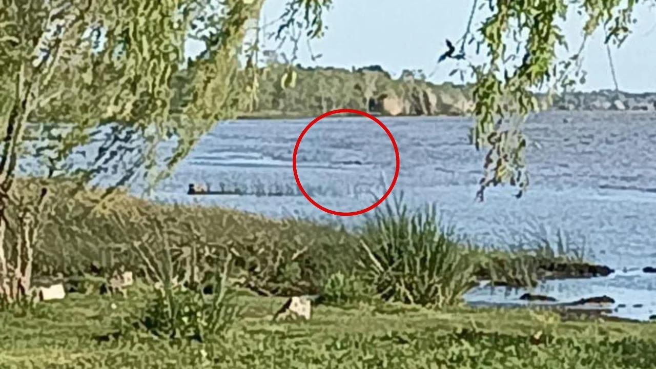 Encontraron muerto al hombre que ingresó al río en Berisso