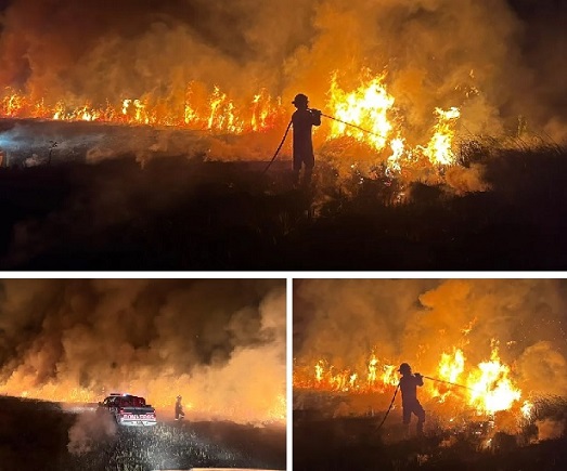 Berisso: Tremendo incendio forestal que consumió varias hectáreas que pudo haber sido intencional fue controlado