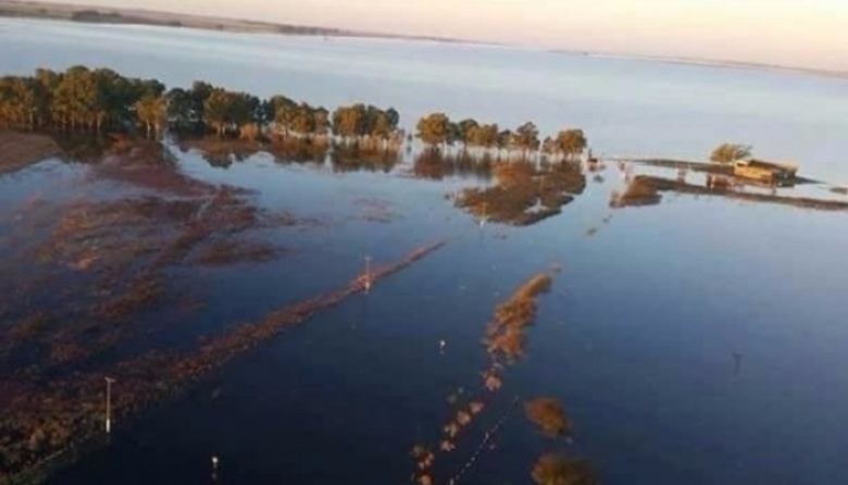 El Gobierno bonaerense extendió la declaración de la emergencia agropecuaria por inundaciones en Guaminí y Coronel Suárez.