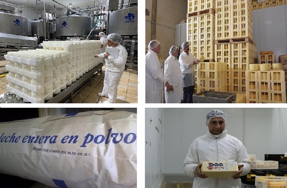 Argentina: Entraron US$1690 millones por exportación de lácteos en 2025, el valor más alto en 12 años