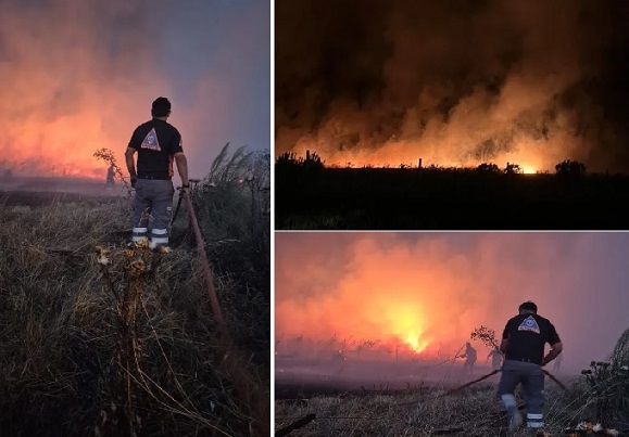 Mar del Plata: Incendio forestal en zona de La Serranita y El Marquesado arrasó con más de 200 hectáreas
