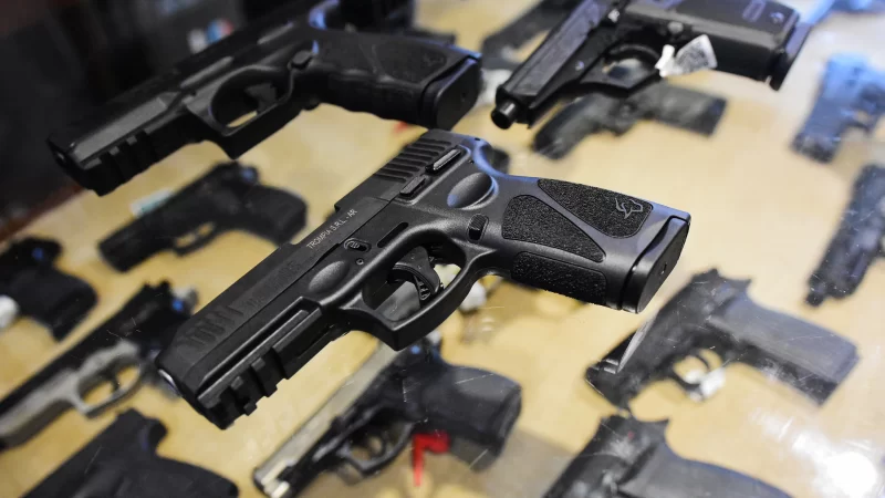 Eliminan la habilitación municipal para trámites ante el Registro Nacional de Armas