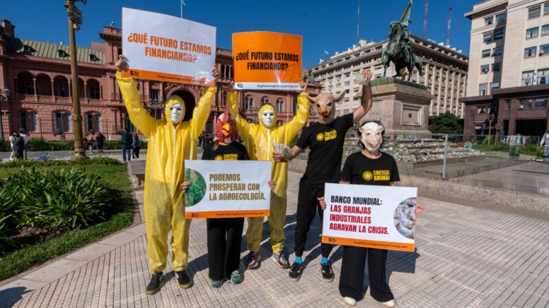 Protesta contra el financiamiento del Banco Mundial a la ganadería industrial