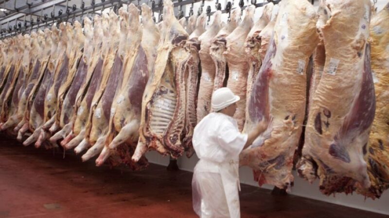 La faena vacuna cayó al nivel más bajo en décadas