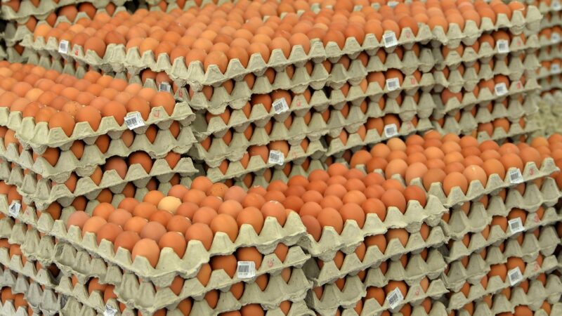Argentina lidera el consumo mundial de huevos mientras crece el debate sobre el etiquetado