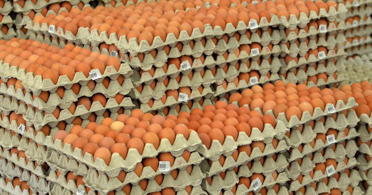 Argentina lidera el consumo mundial de huevos mientras crece el debate sobre el etiquetado