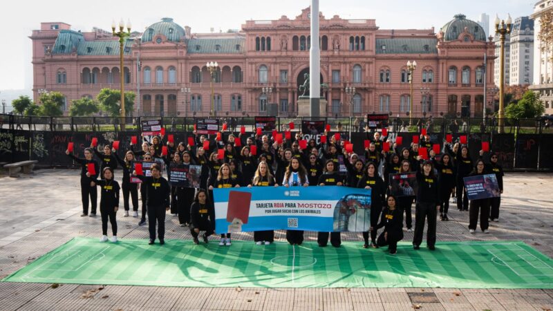 Activistas de seis países llegaron a Plaza de Mayo para denunciar a Mostaza