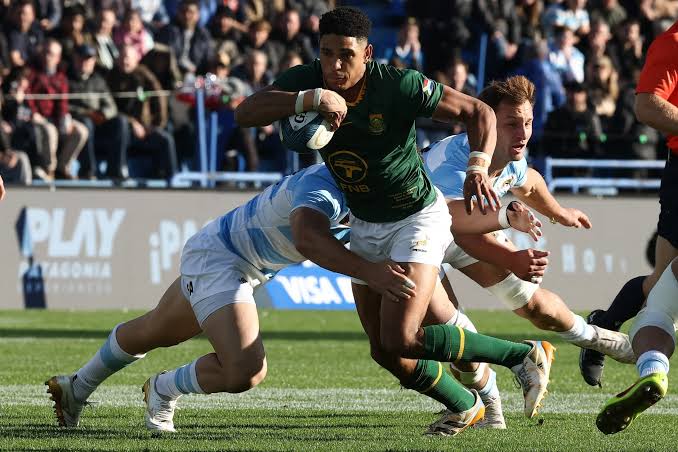 Los Pumas perdieron frente a Sudáfrica en Vélez