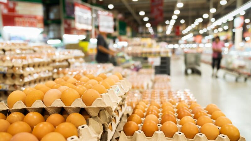 Supermercados bajo la lupa: Que revelan las políticas de las principales cadenas de Argentina sobre el origen de los huevos que ofrecen