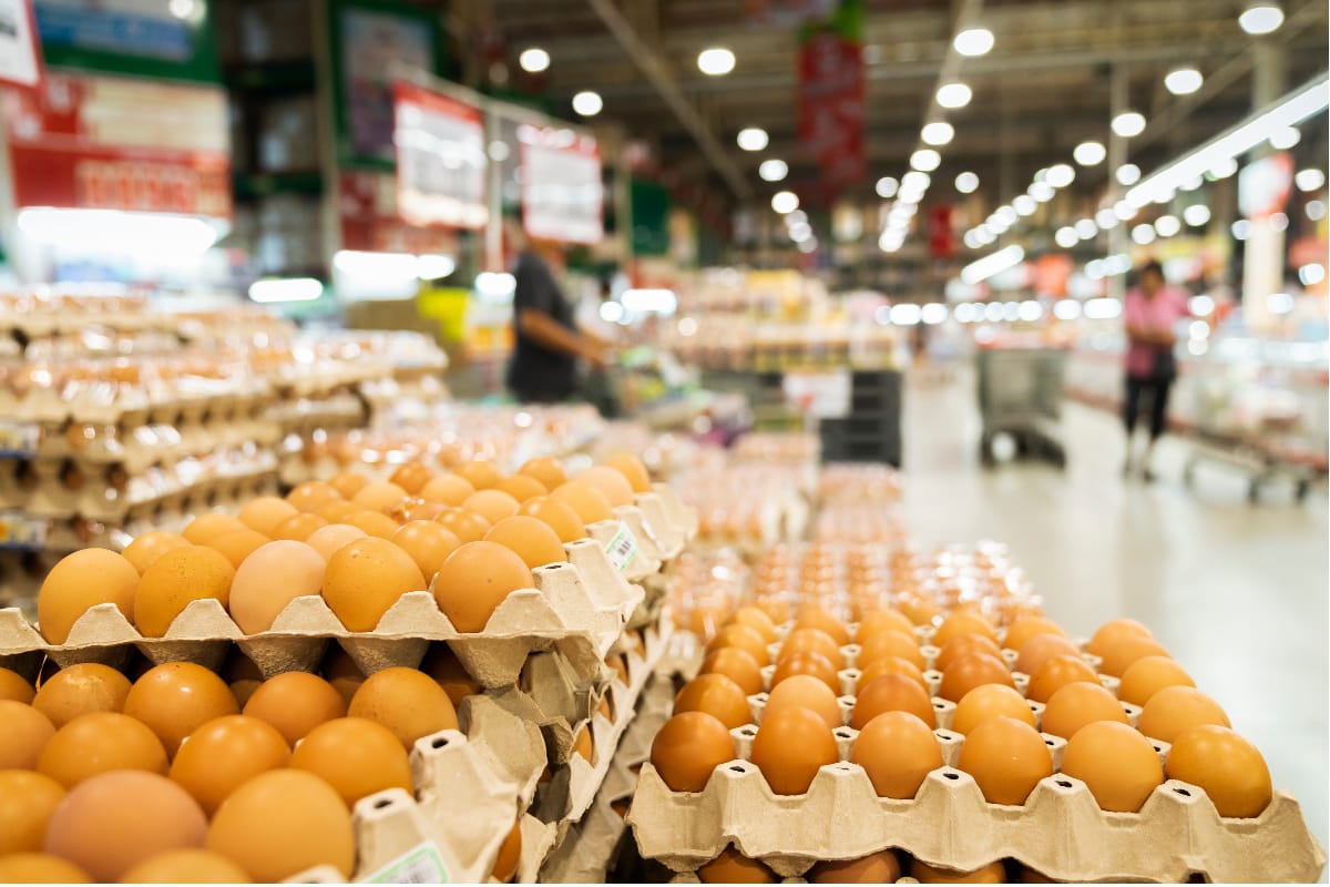 Supermercados bajo la lupa: Que revelan las políticas de las principales cadenas de Argentina sobre el origen de los huevos que ofrecen