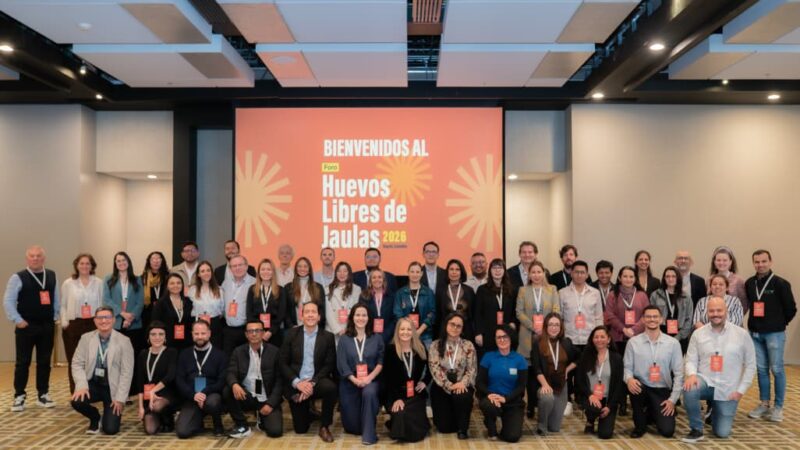 Huevos libres de jaulas: miles de empresas impulsan una transformación en la industria alimentaria mundial